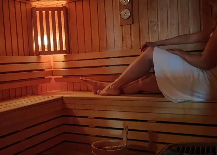 نوفوتيل سنتر تور إيفل فندق