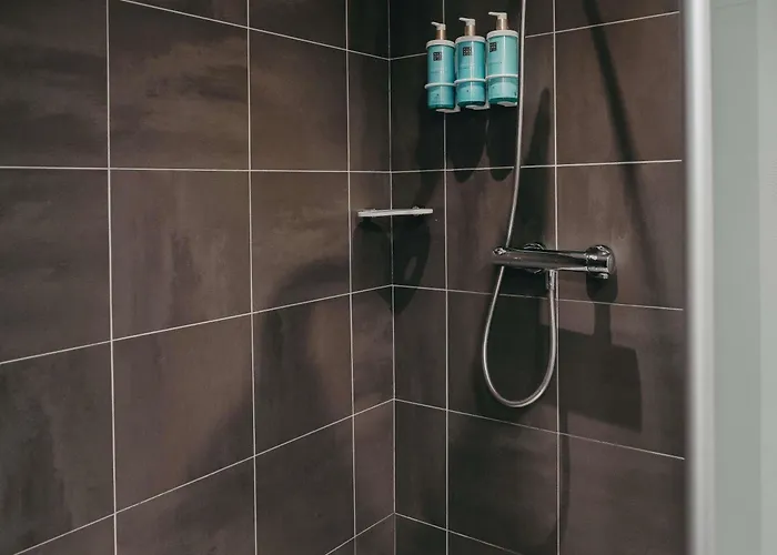 نوفوتيل سنتر تور إيفل